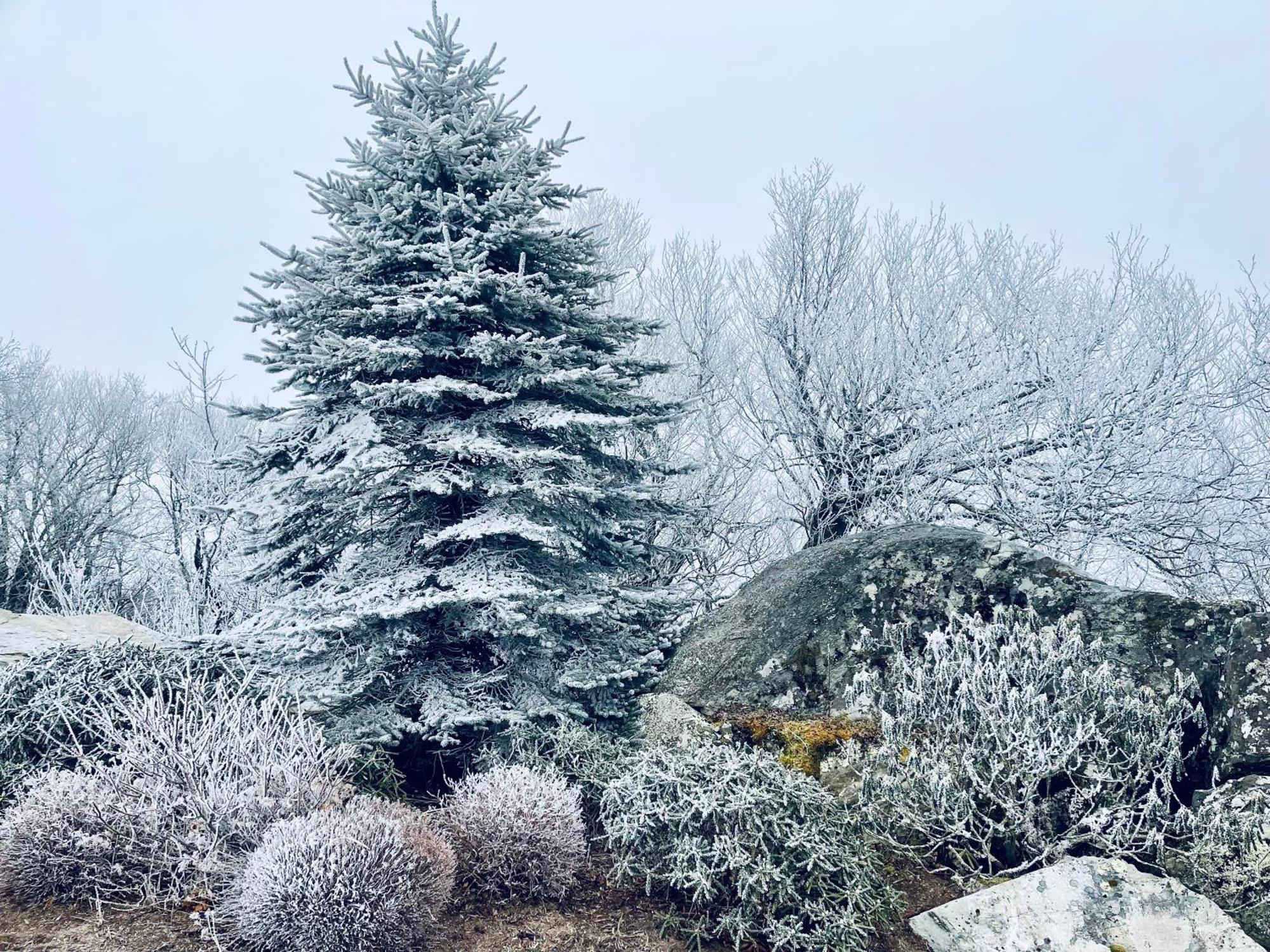 Bucket List Views Sugar Mountain Private Condo - 2Bed, 2Bath, Sleeps 6, Panoramic Views Of Mountains From Large Deck, Short Drive To Shopping, Restaurants, Cafes & Banner Elk Town Zewnętrze zdjęcie